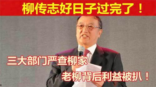 柳传志家族背景