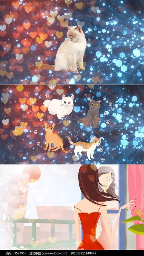 学猫叫音乐背景视频,跟随旋律探寻流行音乐的独特魅力