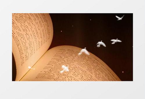 朗读者 背景音乐,唤醒心灵的旋律之旅