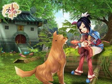 海纳百川娱乐,汇聚多元文化，打造娱乐盛宴