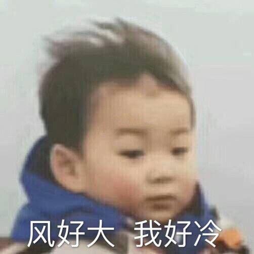 尽力演出表情包,表情包中的戏剧人生