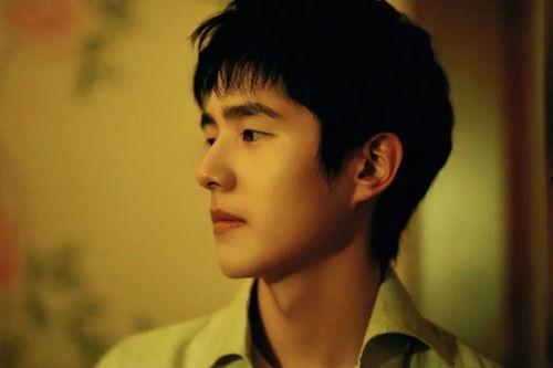 刘昊然的背景,从阳光少年到影视新星，他的成长之路