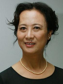 古城谍影演员表,揭秘神秘阵容，实力派演员齐聚演绎悬疑传奇